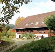 Charmantes Schwarzwaldhaus mitten in der Natur - Bonndorf im Schwarzwald Brunnadern