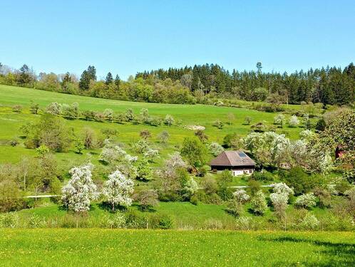 Blick auf das Gesamtareal.jpg - 