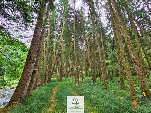 20250610_134300.jpg - 