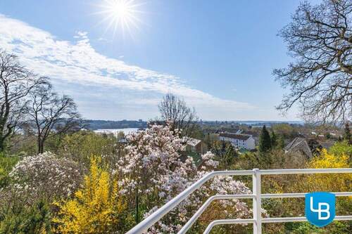 Panoramablick auf die umliegenden Seen - 