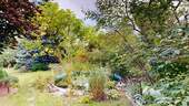 Pool:Teich.jpg - 