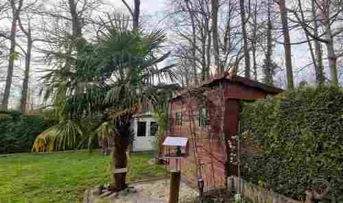 Palmentraum - Einfamilienhaus in Münster zum Kaufen