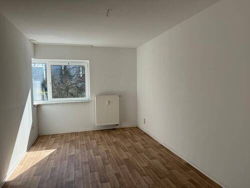 IMG-20250408-WA0003 - 