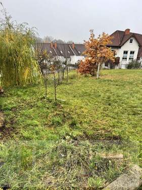 Grundstücksbereich - 