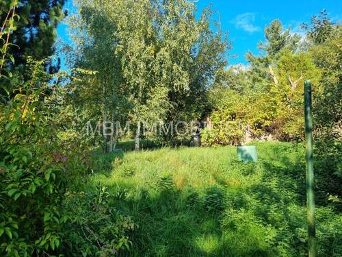 Bild 1 - Grundstück mit sanierungsbedürftiger Immobilie in Großpostwitz, Ortsteil Eulowitz