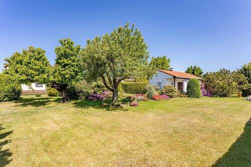 Garten - Gepflegtes teilbares Wohnbaugrundstück in Berlin-Mahlsdorf-Nord