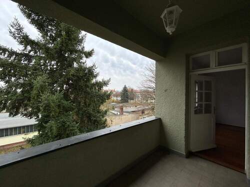 WhatsApp Image 2026-03-25 at 11.50.46 (6) - 