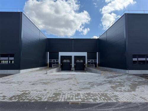 Rampe und Ebenerdige Andienung - Halle zur Miete in Berlin