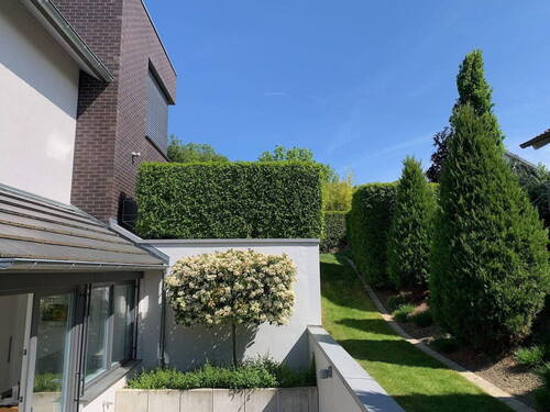 Terrasse der ELW - 