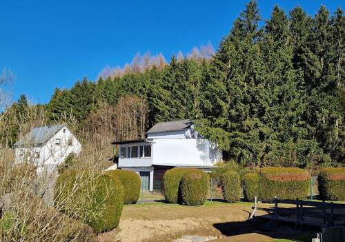 Hausansicht - sanierungsbedürftiges freistehendes Einfamilienhaus mit Nebengebäude in bester Lage von Dahlem