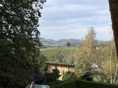 Ausblick vom Balkon - 