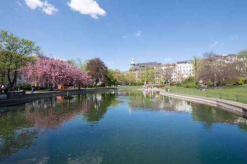 Teich im nahegelegenen Weinbergspark - 