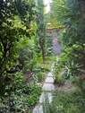 Weg im Gartenhaus - 