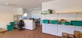 Laden mit Tresen im EG - 