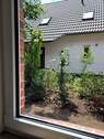 Blick aus dem Arbeitszimmer - 