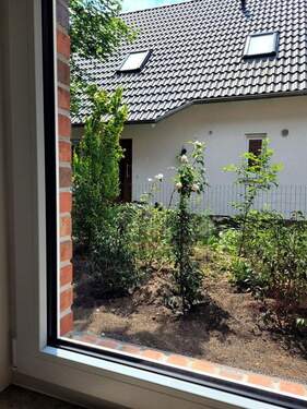Blick aus dem Arbeitszimmer - 
