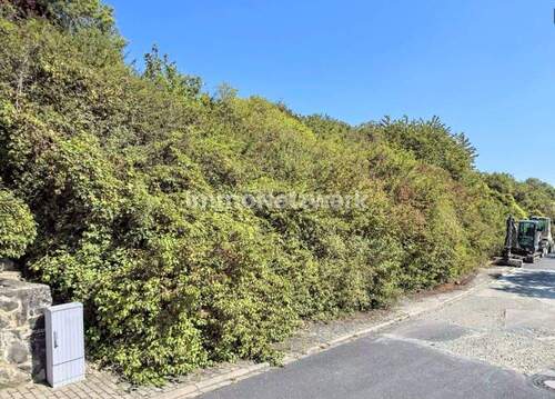 Bild 1 - Attraktive Baugrundstücke in Röttingen