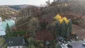 Bild 1 - Wohnen im Einklang mit der Natur: Baugrundstück inklusive eigenem Forstbesitz