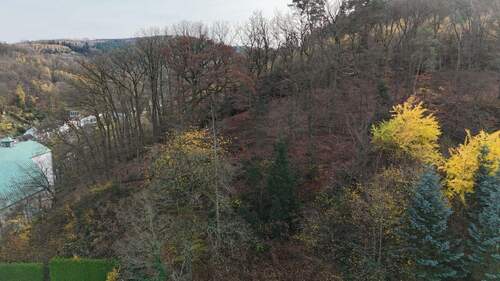 Bild 2 - Grundstück zum Kaufen in Hemer