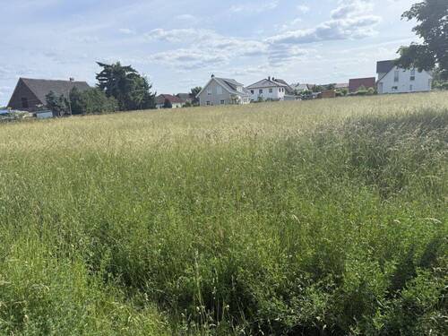 Blick auf das Grundstück - Grundstück zum Kaufen in Hoppegarten