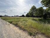 Blick auf das Grundstück - Grundstück in Hoppegarten