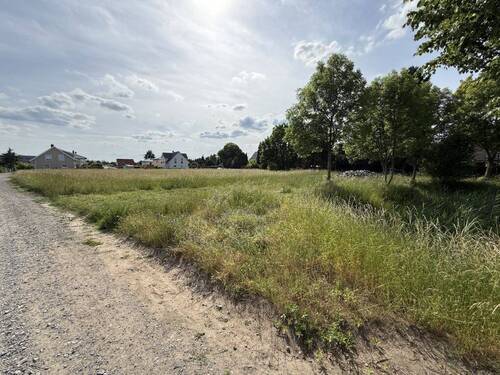 Blick auf das Grundstück - Grundstück in Hoppegarten