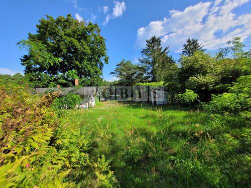 20250813_095137 mit Wasserzeichen.jpg - Attraktives Baugrundstück in Wald- und Seenähe