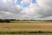 angrenzende Felder - 
