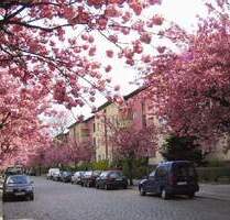 Sonniger Balkon gewünscht? - 804,00&nbsp;EUR Kaltmiete, ca.&nbsp; 50,30&nbsp;m&sup2;&nbsp;Wohnfl&auml;che in Berlin (PLZ: 10315) Friedrichsfelde
