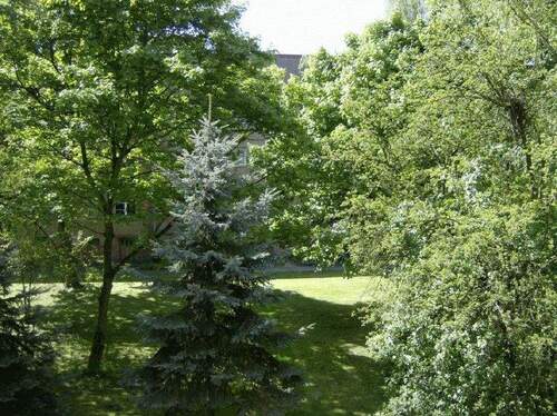 Blick in den Ulmenhof - Etagenwohnung mit 50,30 m&sup2; in Berlin zur Miete