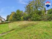 RE/MAX Immobilien DeLux Einfamilienhaus Merzig Garten - 