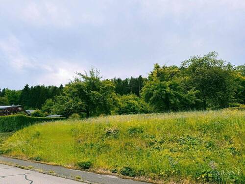 1748337448449 - Baugrundstück - 250.000,00 EUR Kaufpreis, ca.  0,00 m²