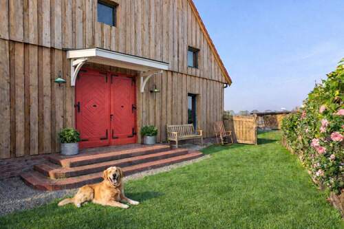 Mögliche Fertigstellung des Eingangsbereiches - 