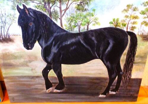 Pferdefreunde aufgepasst - #Freistehendes Zweigenerationenhaus mit viel Platz im Aussenbereich