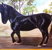 #Freistehendes Zweigenerationenhaus mit viel Platz im Aussenbereich - Niederkrüchten-Elmpt