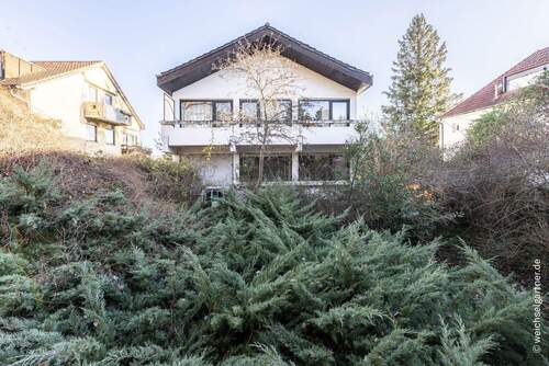 Weitere Aufnahme – Altbestand - 