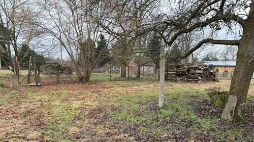 Blick in den Garten - 