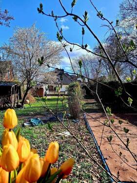 herrliches Grundstück - 