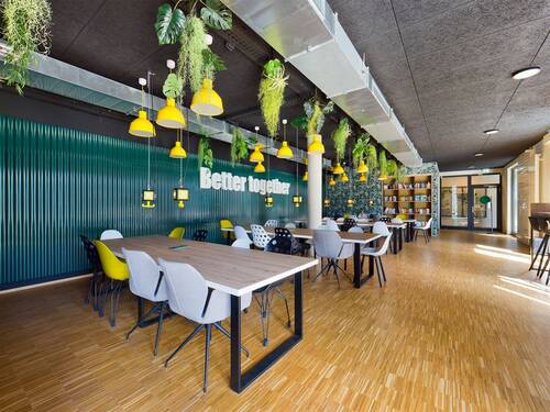 Gemeinschaftsfläche - 