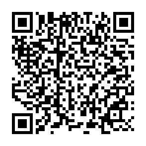 QR-Code - 