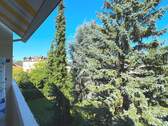 Ausblick hinten - 