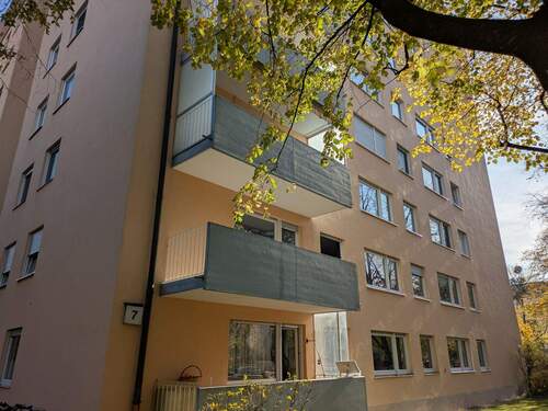 PXL_20251031_110039165.MP.jpg - 