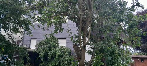 20250627_120115.jpg - 