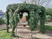 Pavilion - 