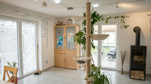 Wohn- und Essbereich - Einfamilienhaus mit 115,00 m&sup2; in Fellheim zum Kaufen