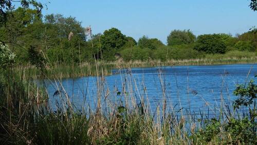 Owschlager See - Grundstück zum Kaufen in Owschlag