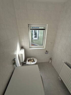 Waschmaschine und Toilette - 