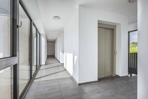 Treppenhaus mit Aufzug - 