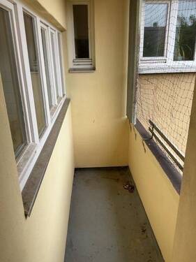 WhatsApp Image 2026-06-17 at 11.37.03 (3) - 