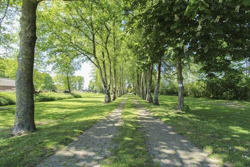 Allee Einfahrt - 